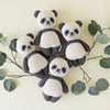 Five Cuddle + Kind Baby Pandas arranged in a star shape on a light background, surrounded by eucalyptus leaves. Each panda has distinct cheerful facial expressions.
