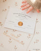 A baby's hand reaches for an "Official Adoption Certificate" on a floral backdrop, with the Cuddle + Kind My First Baby (Lavender)—hand-knit from natural cotton yarn—nearby and another certificate partially seen beneath. Ships in one week.