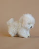 A Maltese Tea Cup Stuffed Animal, hand sewn with a thick coat of plush fur stands against a soft beige background, facing to its right. The toy appears soft and realistic, mimicking a small fluffy white toy dog.