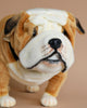 British Bulldog stuffed animal