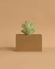 The Ferm Living Hand Carved Wooden Harbour Box - Coral features a small green plant with rounded leaves in a light brown rectangular planter, perfect as charming children's room decor against a plain beige background.