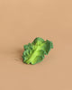 A single green kale leaf rests on a beige background with soft lighting—perfect inspiration for Kendall the Kale Teething Toy, a natural rubber baby toy ideal for sensory play.