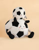 Two plush toys from the Mon Ami Soccer Ball Set, each shaped like a soccer ball with smiling faces and striped arms and legs, sit together on a beige background.