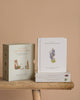 The "Our Little Adventures Book Box Set," displayed on a wooden surface, is ideal for nature exploration and language development, with titles such as "A Trip to the Wildflower Meadow" and charming illustrations like a lavender sprig.