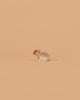 The Bumbu Handmade Wooden Otter Set is displayed against a plain light beige background, facing left. Its minimalistic composition emphasizes the eco-friendly charm of this handcrafted toy.