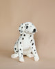 A Sitting Dalmatian Dog Stuffed Animal with black spots sits against a plain, light brown background. The toy has a realistic appearance, featuring prominent, alert eyes and a gentle pose. It is one of