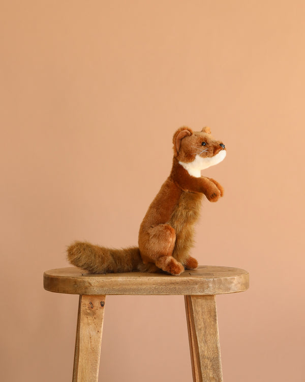 A Weasel Stuffed Animal with realistic features sits upright on a wooden stool against a plain beige background.