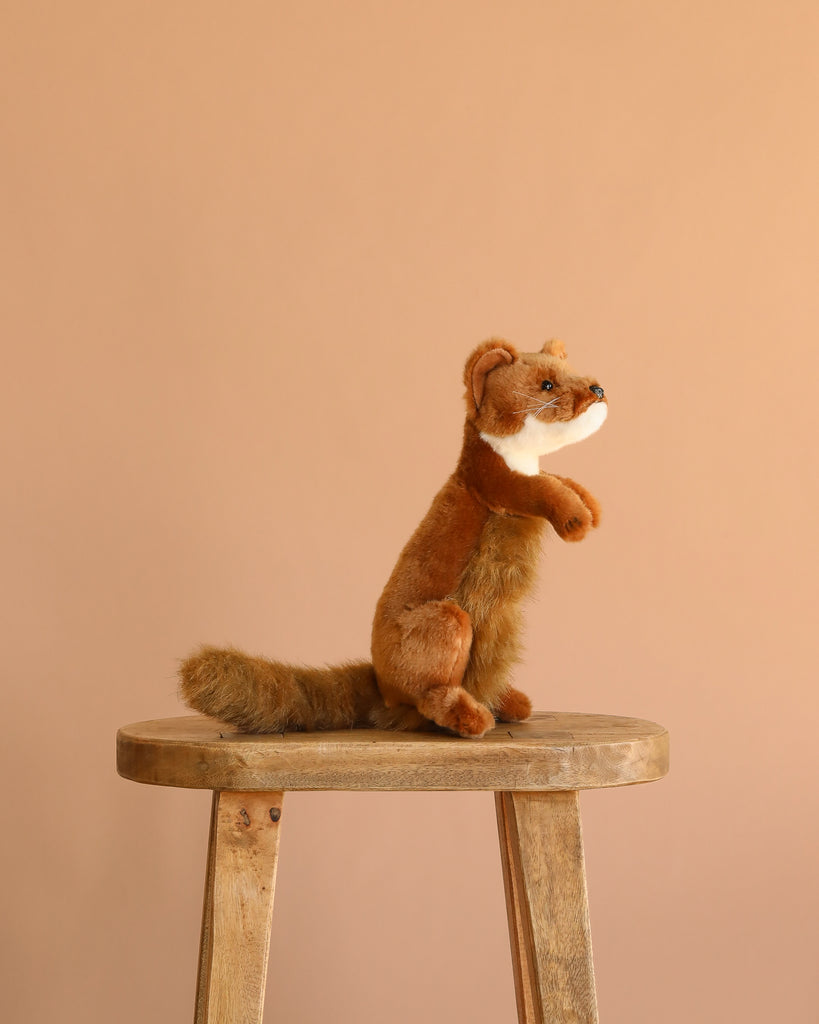 A Weasel Stuffed Animal with realistic features sits upright on a wooden stool against a plain beige background.