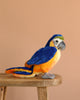 The Steiff Lori Parrot, a plush stuffed animal with vibrant blue, yellow, and orange feathers, sits on a wooden stool against a plain light brown background.