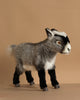 The Grey Goat Stuffed Animal features gray and white fur, black facial and leg markings, and lifelike yellow eyes. It stands on a light brown surface with a beige background, showcasing its realistic artisan craftsmanship.