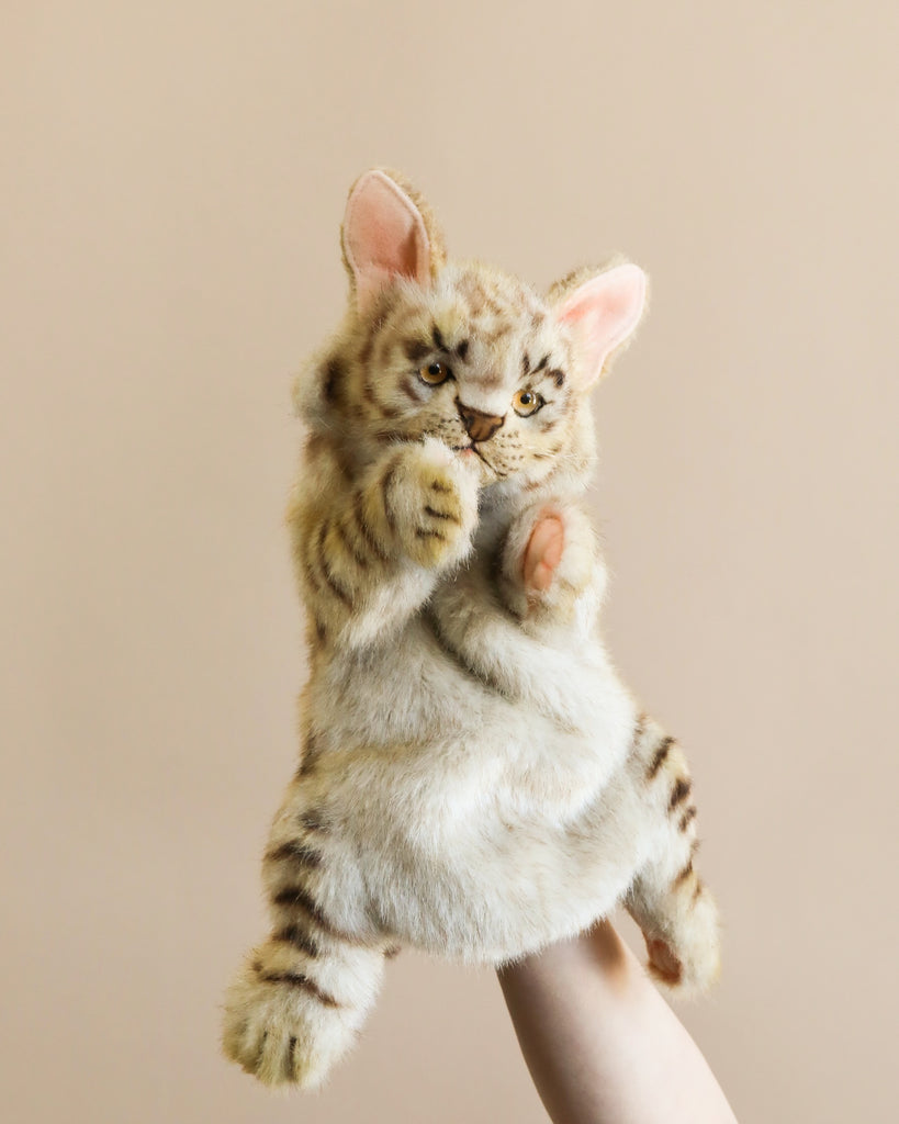 A person holds up a Leopard Cat Puppet against a plain beige background, showcasing its realistic features, fluffy fur, and pointed ears. Part of a unique plush animal collection, it resembles a tabby cat with a playful expression.