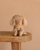 The Maileg Puppy in Coral Pet Carrier - Dusty Powder, a small light brown vintage-style stuffed dog with floppy ears and a collar, sits on the edge of a wooden bench against a plain beige background.