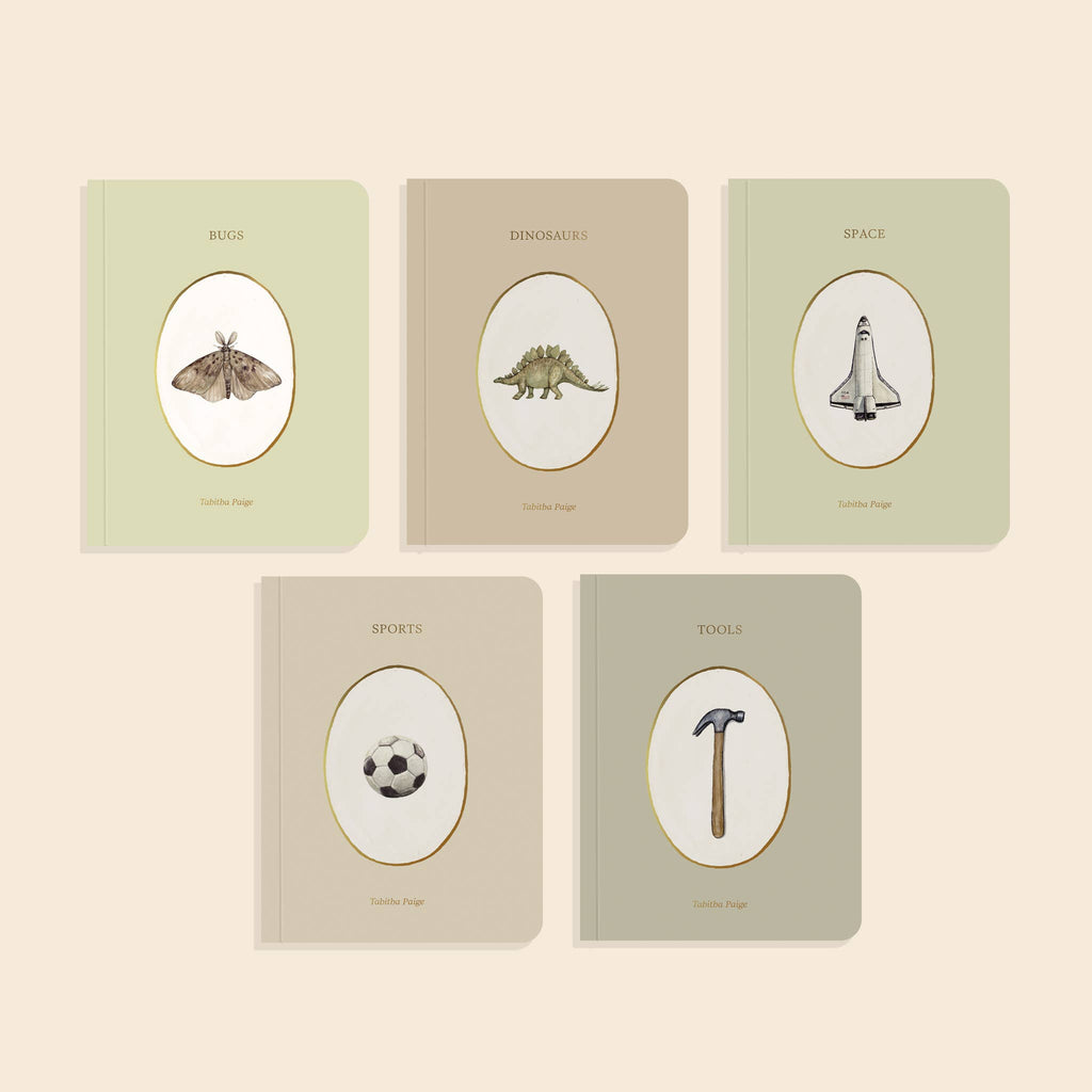 Our Little Library Vol. 3 (5 Board Books) features pastel board books—Bugs, Dinosaurs, Space, Sports, and Tools—with illustrated covers of a moth, dinosaur, space shuttle, soccer ball, and hammer. An ideal baby shower gift!.