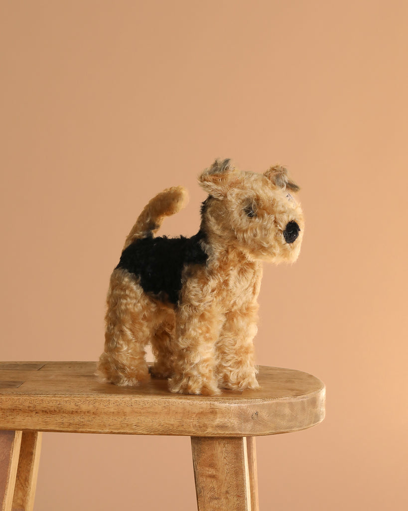 A Steiff Mohair Terri Welsh Terrier plush toy, 10 inches tall in brown and black, stands on a wooden stool against a plain light brown background.