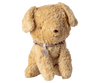 The Maileg Puppy, Small - Soft Sand is a plush, light brown dog with floppy ears, black eyes, a round nose, and a beige collar with a small round tag. Background is plain white.