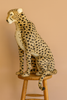 The 44" Life-Size Cheetah Stuffed Animal sits upright on a wooden stool against a plain beige background, featuring detailed spots and realistic design—Final Sale.