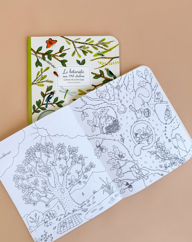 The Moulin Roty Botanist Coloring Book with Stockmar Pencil Set rests open on a tan surface, revealing black-and-white nature scenes inside—an ideal set for creative fun and imaginative coloring.