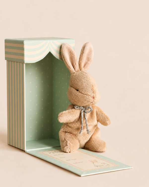 A small brown Maileg My First Bunny - Brown plush toy sitting next to its open, light-blue patterned baby gift box.