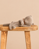 A small, grey Maileg Sleeping Kitten Plush wearing a patterned collar, lying asleep on a wooden stool.