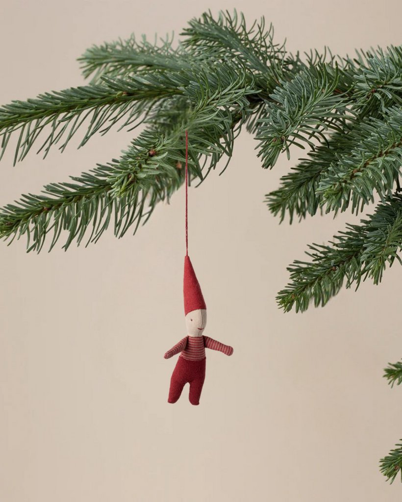 The Maileg Pixy Ornament - Boy, a small fabric elf in red clothes, hangs from a string on the tip of a green pine branch against a plain beige background.