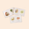 An Our Little Adventures Book Box Set with illustrations of various foods and animals, like shrimp and rabbits, presented on a peach-colored background.