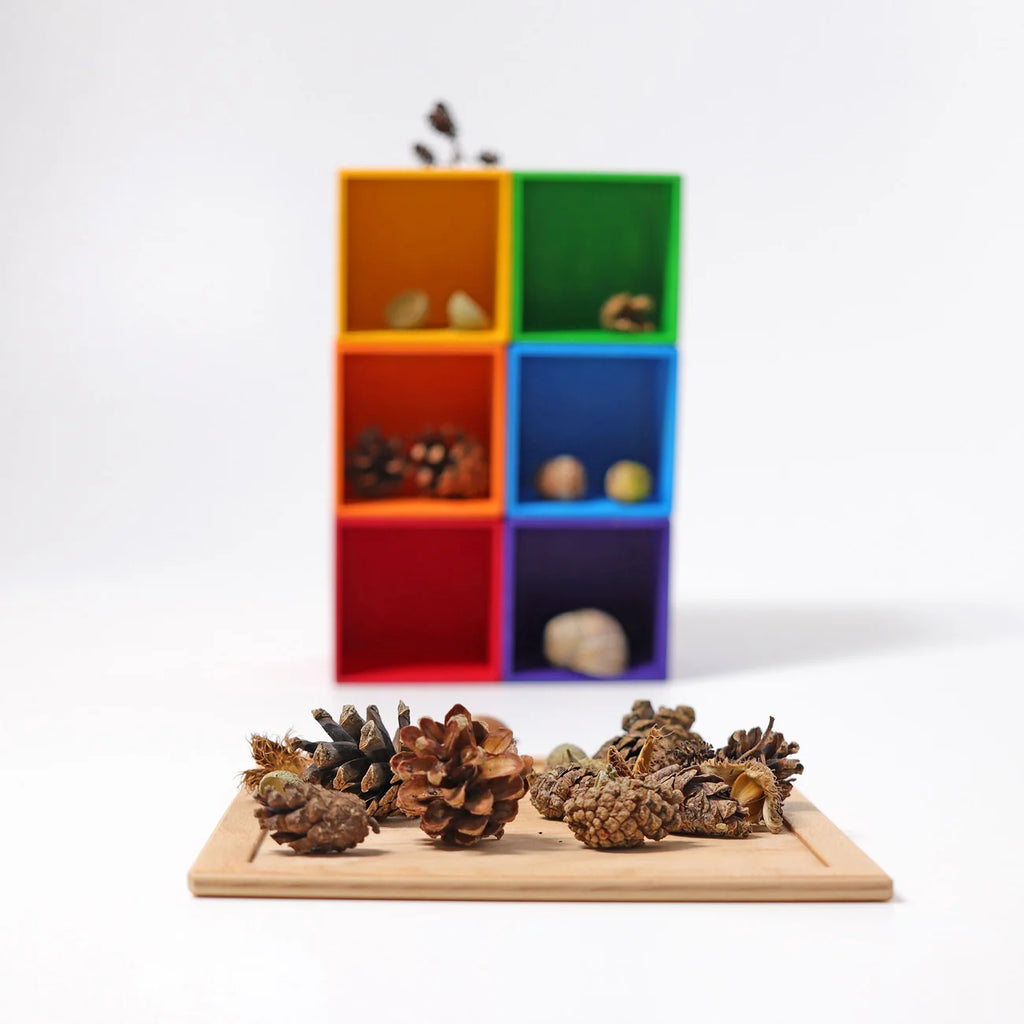 A collection of pinecones and acorns on a wooden board, with a Grimm’s Small 6 Piece Rainbow Box Sorter in the background.