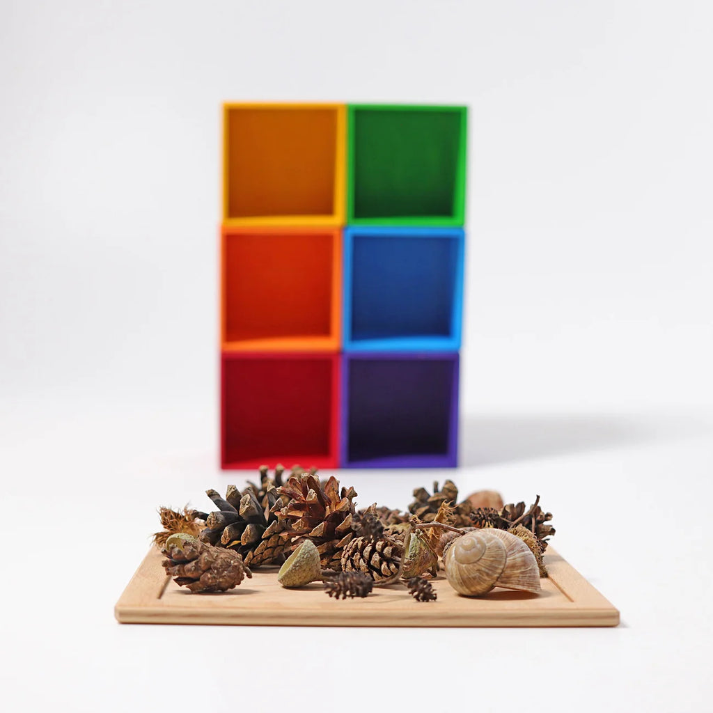 A collection of pinecones, acorns, and a snail shell on a wooden tray in front of six stacked Grimm’s Small 6 Piece Rainbow Box Sorter boxes.