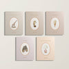 Our Little Library Vol. 2 is a charming board book box set with five illustrated titles: "Safari Animals" (giraffe), "Ocean Animals" (seahorse), "Food & Drink" (ice cream cone), "Clothes" (shoes), and "Around the House" (lamp)—ideal for introducing first words on a light background.