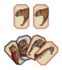 Six illustrated animal cards from the Memory Game - Animal Kingdom, featuring vintage images: two leopards (top), and below, an owl, raccoon, elephant, and giraffe on a white background—perfect for a charming memory game.
