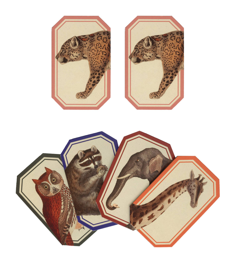 Six illustrated animal cards from the Memory Game - Animal Kingdom, featuring vintage images: two leopards (top), and below, an owl, raccoon, elephant, and giraffe on a white background—perfect for a charming memory game.