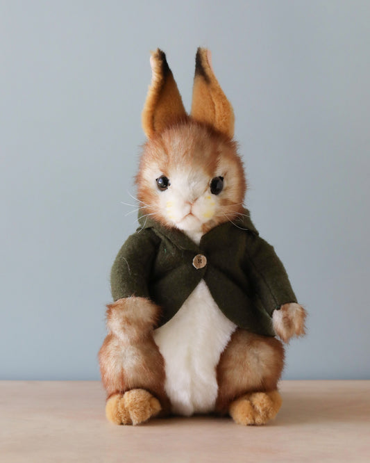 Bunny stuffed animal with green jacket