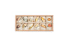 A Grapat Wild Exploration Play Set containing various creatures from the fauna realm, each placed in its designated section with informational tags, against a white background.